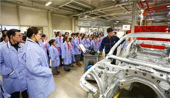 義烏泓寶行 技術(shù)開發(fā)的創(chuàng)新驅(qū)動(dòng)與行業(yè)貢獻(xiàn)